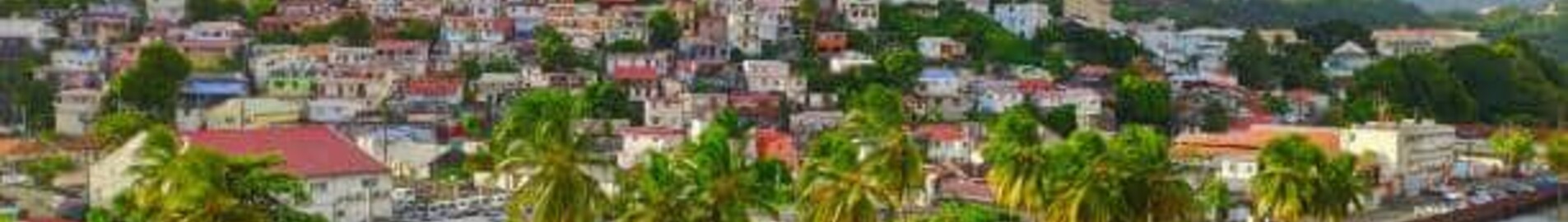 Fort-de-France: închiriere de avioane private