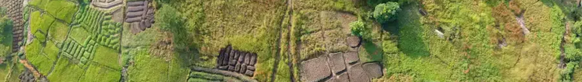 Guineea Ecuatorială : Închiriere avion privat 