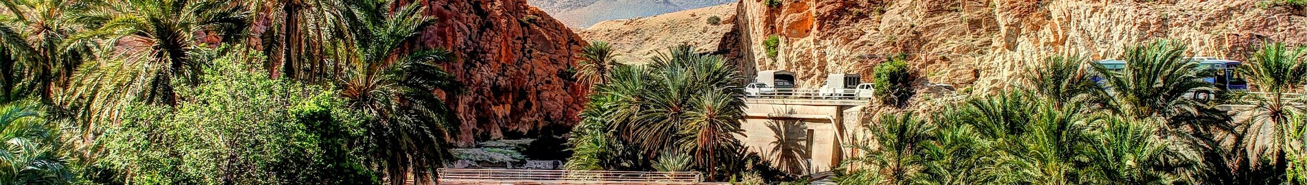 Biskra: închiriere avion privat 