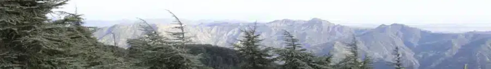 Blida: închiriere avion privat