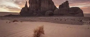 Închiriere de avioane private în Algeria