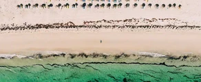 Djerba Zarzis : închiriere avion privat