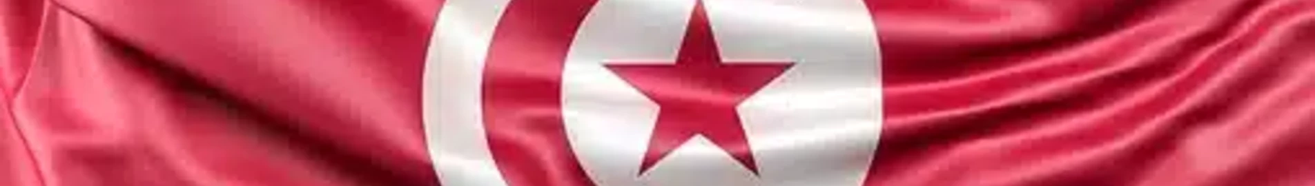 Repatrierea în Tunisia: proceduri, prețuri și soluții personalizate