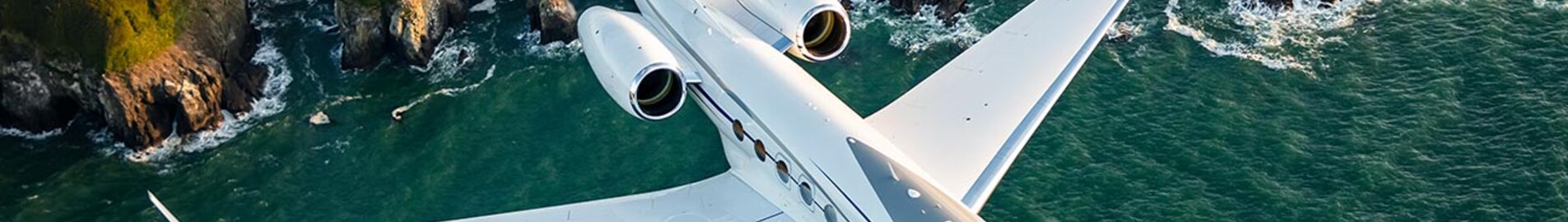 Avioanele private ale lui Elon Musk