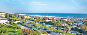 Inchiriere avion privat Forte dei Marmi  