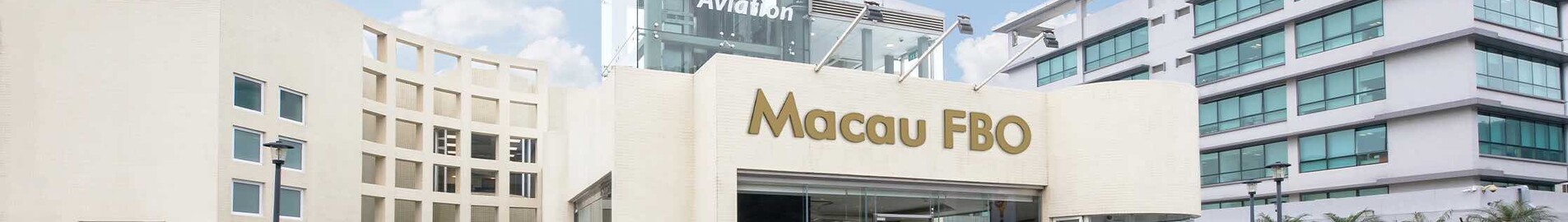 Etichetă Aviație : airline