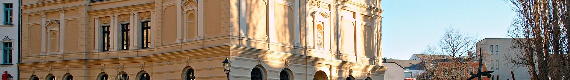 Închiriere avion privat în Reinsdorf 