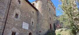 Forli: închiriere avion privat 