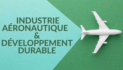 Provocările cu care se confruntă industria aeronautică în contextul dezvoltării durabile