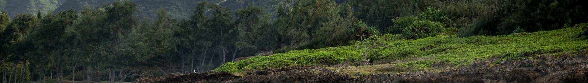 Hawaii : Închiriere avion privat și elicopter