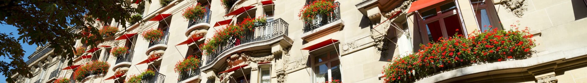 Hotel de lux în Paris: un sejur de vis la Hôtel Plaza Athénée