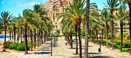 Frankfurt - Barcelona: închiriere avion privat
