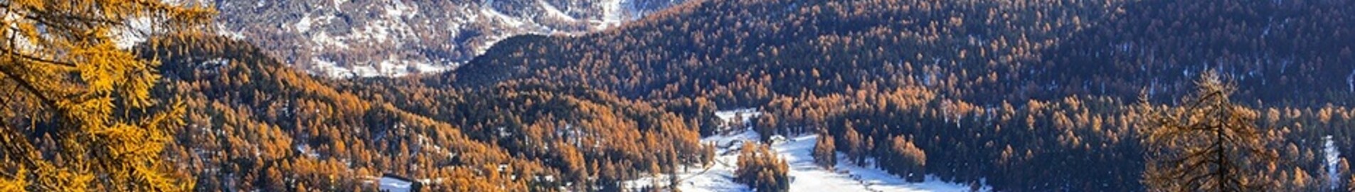 Saint-Tropez - Saint-Moritz Samedan : închiriere avion privat