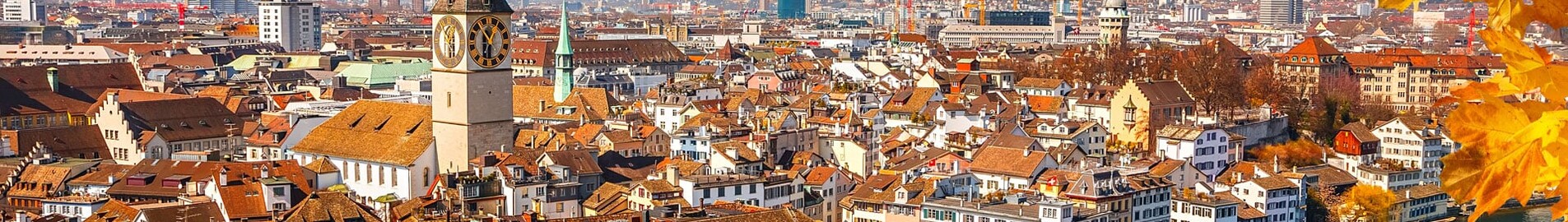 Hamburg - Zurich : închiriere avion privat
