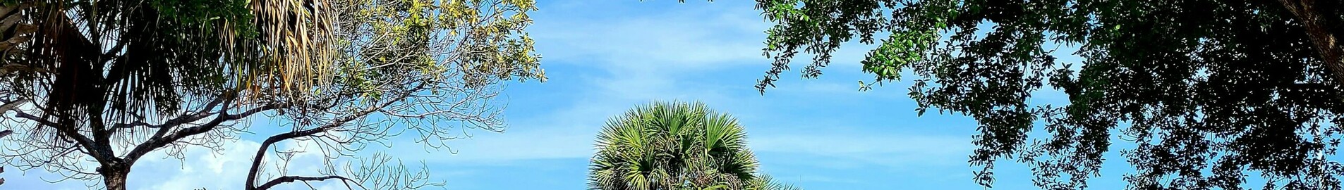 Los Angeles - Tampa : închiriere avion privat