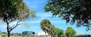 Los Angeles - Tampa : închiriere avion privat
