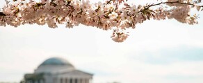 Las Vegas - Washington DC : închiriere avion privat