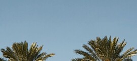 Las Vegas - Paris: închiriere avion privat