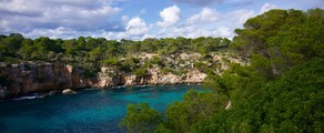 Frankfurt - Palma : închiriere avion privat