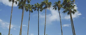 New York - Tampa : închiriere avion privat