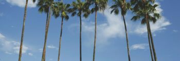 Ibiza : location de jet privé