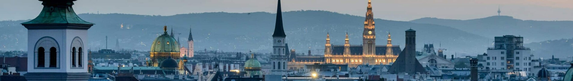 Hamburg - Viena : închiriere avion privat