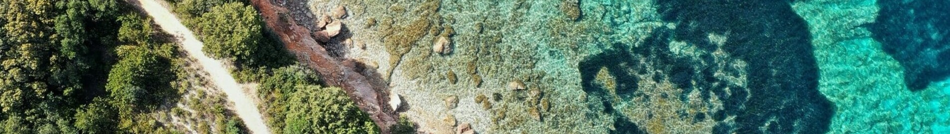 Frankfurt - Olbia : închiriere avion privat