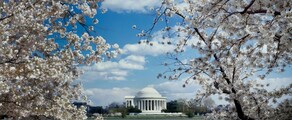 Los Angeles - Washington DC : închiriere avion privat