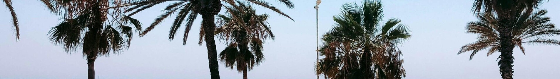 Frankfurt - Barcelona: închiriere avion privat