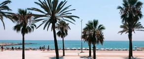 Frankfurt - Barcelona: închiriere avion privat