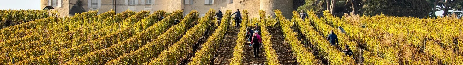 Podgoriile din Bordeaux: experiență cu elicopterul