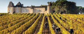Podgoriile din Bordeaux: experiență cu elicopterul