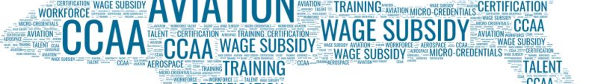Glosar complet al aviației de afaceri : AEROAFFAIRES