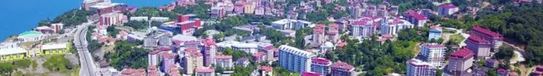 Zonguldak: închiriere de avioane private